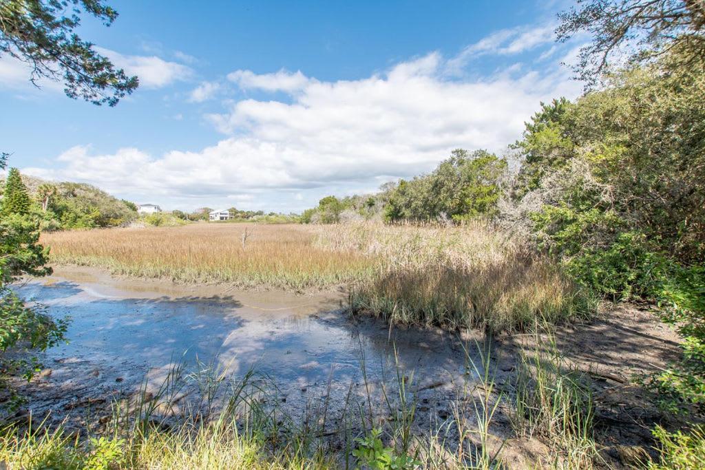 Marsh Front Birders Paradise Close To Beaches And Downtown Сент-Огастин Экстерьер фото